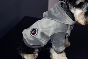 Quần áo thú cưng thời trang đường phố thời trang chó quần áo nhung hoodie schnauzer Quần áo Teddy - Quần áo & phụ kiện thú cưng