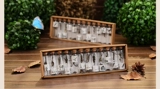 Бесплатная доставка 12 ностальгическая ретро -дерево Сьючительские бутылки мини -стеклянные ремесла Небольшие творческие студенты подарки на день рождения подарки