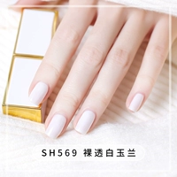 Голый белый магнолия SH569 безвкусно