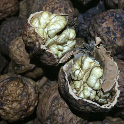 云南大理漾濞新货特产野生老树原味生核桃非纸皮薄皮壳桐子果核桃