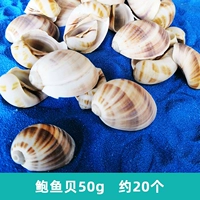 Убийные раковины 50 г около 20