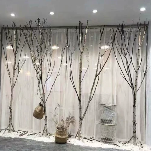 Первичное экологическое дерево березы завязанные деревья декоративные белые березовые вилки ветвы