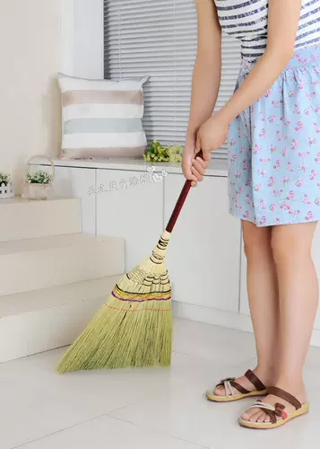 Золотая метла, совок для домашнего использования, ковер, DIY