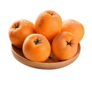 [云南哈尼高山枇杷240g/盒]