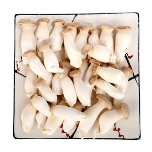 (Youyan) Pleurotus eryngii 250g/Box