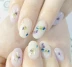 Dụng cụ làm móng Nail Snowdrops Hoa khô tự nhiên Hoa ép 12 Bộ màu - Công cụ Nail