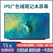 Thần Châu Ares K650D K670D K610D/C Z6 Z8 Z7/M màn hình LCD máy tính xách tay IPS điểm cao
