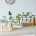 [phiên bản chữ tùy chỉnh] Yisen văn học gió khung gỗ thủy canh cây thủy tinh bình hoa trang trí phòng khách trang trí - Vase / Bồn hoa & Kệ