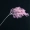 Mô phỏng sương mù hoa sương thông hoa lưới đỏ rừng cưới hoa cưới khách sạn treo tường hoa nhân tạo - Hoa nhân tạo / Cây / Trái cây cây hoa đào giả