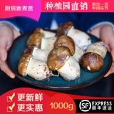 Fresh Jiusato Yunnan Ball Mushroom Selection of Chicatoutoutraite Non -Dry 1000G Sinfeng Free Shipping Matsutake