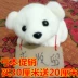 Gấu bắc cực đồ chơi búp bê nhỏ gấu trắng gấu trúc gối cô gái trẻ em món quà sinh nhật gấu bông - Đồ chơi mềm đồ chơi con gái Đồ chơi mềm