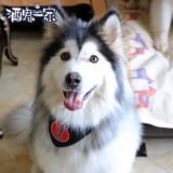 Семейство призраков вина из той же домашнее собака для собаки рта рты рта полотенца с персонализированным текстовым треугольным шарфом кольцо кольцо многопрофилька для кошачьих украшений