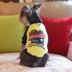 Rượu gia đình Chó quần áo chó con Teddy Chihuahua VIP chó nhỏ chó cưng trang phục chó con áo len - Quần áo & phụ kiện thú cưng