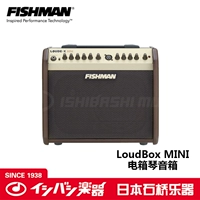 Người cá Ngư dân LỚN MINI 60W New Acoustic Guitar Electric Box Piano Loa Stone Bridge Nhạc cụ loa pioneer cs 99a