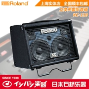 Roland Logic KC-110 Mới Bàn Phím Stereo Loa Phạm Vi Đầy Đủ Loa Đá Cầu Nhạc Cụ