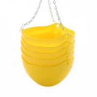 5 желтого наряда