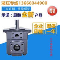Ylc xianju yongling leaf pump yb-e16/e25/e32/e40/e60/e63/e80/e100e125 Масляный насос