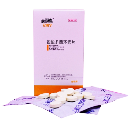 爱纳它 Домашние животные, собаки, лекарства, кошки и собаки, пневмония, насморк, золотистый ретривер Тедди, простуда, кашель, одышка, астма.