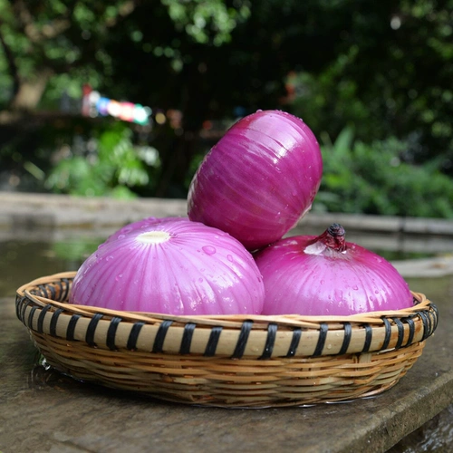 Yunnan Purple Skin лук 5 фунтов свежих луковых фермеров самостоятельно -овощи красные кожи красные лучи Большой круглый лук цельный короб