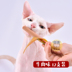 Mèo người lớn mèo ham xúc xích con chó đồ ăn nhẹ vào mèo con con chó đào tạo mèo thịt xúc xích 180g * 12 thức an cho mèo giá rẻ Đồ ăn nhẹ cho mèo