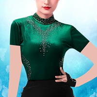 DD6C011 Demolin Velvet (короткие рукава)