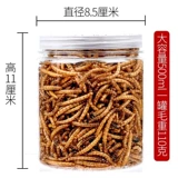 Зерновая лапша хомяка, сушеный желтый порошок, сухой 500 г бесплатно доставка золотой шелковый медвежь