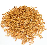 Арагонская федерация арагона