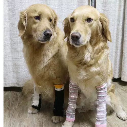 Гетры, удерживающие тепло наколенники, штаны, носки, анти-грязь