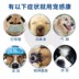 Vật nuôi Musbe Kang dog mèo pet thuốc cảm lạnh hắt hơi ho ho chảy nước mũi viêm phế quản hộp - Cat / Dog Medical Supplies các loại vật tư y tế cho thú cưng Cat / Dog Medical Supplies