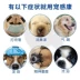 Vật nuôi Musbe Kang dog mèo pet thuốc cảm lạnh hắt hơi ho ho chảy nước mũi viêm phế quản hộp - Cat / Dog Medical Supplies Cat / Dog Medical Supplies
