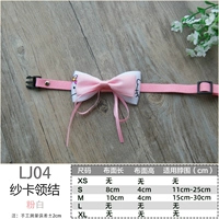 КТ Порошок кошки