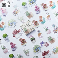 1 коробка серого цвета 1 коробка 45 зеленых кислородных суккулентов