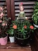 Đặc biệt sáng tạo búp bê sắt đẹp búp bê hoa đứng vườn linh tinh hàng hóa trang trí nhà trang trí quà tặng - Trang trí nội thất