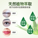 Подлинный анти -SCAR Tattoo Import Repair Agent Agent Edsbrow Brow