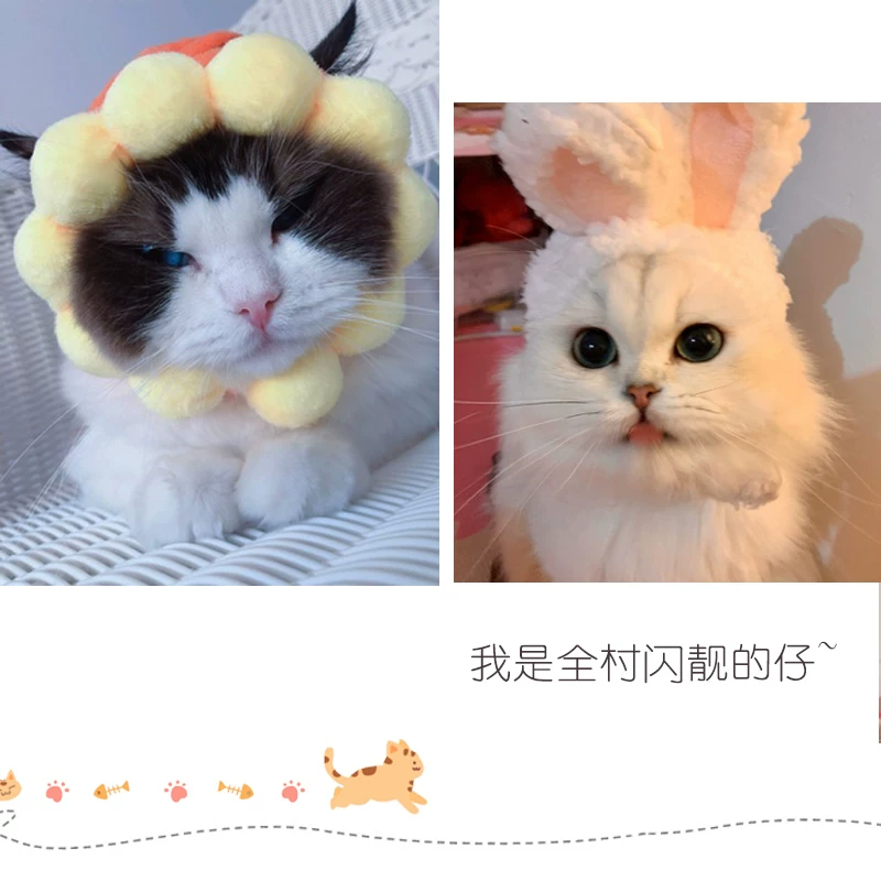 Waterproof hat, rabbit for bath, pet