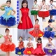 Cô gái Guzheng Trang phục Trẻ em Công chúa Tutu Trình diễn Trang phục Trung Quốc Áo gió Sinh viên Điệp khúc Đầm dự tiệc - Trang phục Trang phục