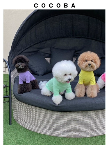 Кокоба для любимой собаки одежда прилив бренд весна и осень тонкий маленький средний средний кошки маленький молоко кот милый плюшевый нагрудник