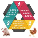 Цыпленка для лекарства от курицы энтероубренная птица птицы птицы птицы птицы -птицеводство птицы птицы -птицеводство с утки с уткой, лекарство из свинины, лечебное лекарство от птицы -птицеводство.