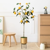 Моделирование растения в горшках лимонного дерева