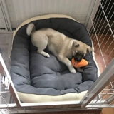 С прохладным сиденьем Ins Explosion Teddy Barry Small Dog Snowy, среднее гнездо для собачьего гнезда с собачьим гнездо