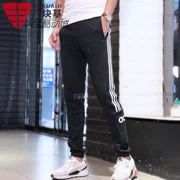 Quần Adidas nam 2019 mùa đông cộng với quần nhung chân chùm quần thể thao giản dị EI9004 9005 9006 - Quần thể thao