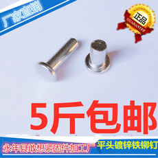 Заклепки с плоской головкой gb109平头实心铁铆钉 镀锌平头敲击式铆钉