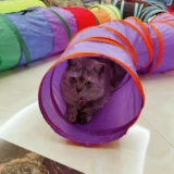 Туннель, игрушка, можно стирать