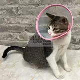 Элизабет Круг Дерг Анти -Связый Лизать кошачья голова крышка шеи