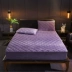 Giường nhung pha lê ấm áp dày velvet nhung đơn mùa đông Vỏ bọc bảo vệ Simmons 1,8 m phủ bụi phủ giường - Trang bị Covers