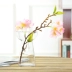[Đặc biệt hàng ngày] bình thủy tinh nhỏ treo chai thực vật sáng tạo hình vuông thủy canh bình treo chậu lan - Vase / Bồn hoa & Kệ Vase / Bồn hoa & Kệ