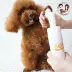 Yi Nuo SOS pet làm sạch bọt dog grooming nguồn cung cấp chân làm sạch khử trùng chăm sóc chó mèo vượt qua 150 ml găng tay chải lông rụng chó mèo Cat / Dog Beauty & Cleaning Supplies