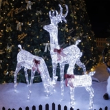 Рождество три семейного домашнего светлого оленя Большой отель сцены