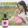 18 hàng mới! Pháp Chiba Rose Pure Dew 250ml Pingyin bão hòa tinh dầu Hoa nước dưỡng ẩm và làm sáng da - Tinh dầu điều trị tinh dầu nho