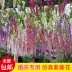 Mô phỏng Hoa Wisteria Hoa giả Violet Hoa trần Trần Vine Trang trí đám cưới trong nhà Mây nhựa Hoa thùng Cây nho - Hoa nhân tạo / Cây / Trái cây Hoa nhân tạo / Cây / Trái cây